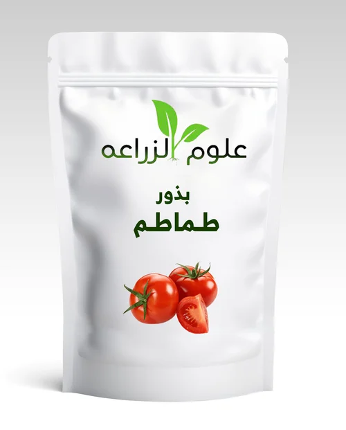 بذور طماطم